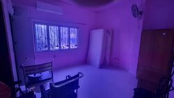 Horne Road (D8), Apartment #555320841